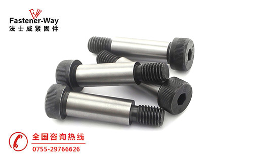 500-313.jpg 500-313.jpg